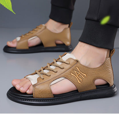shoe