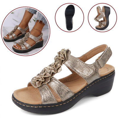 shoe
